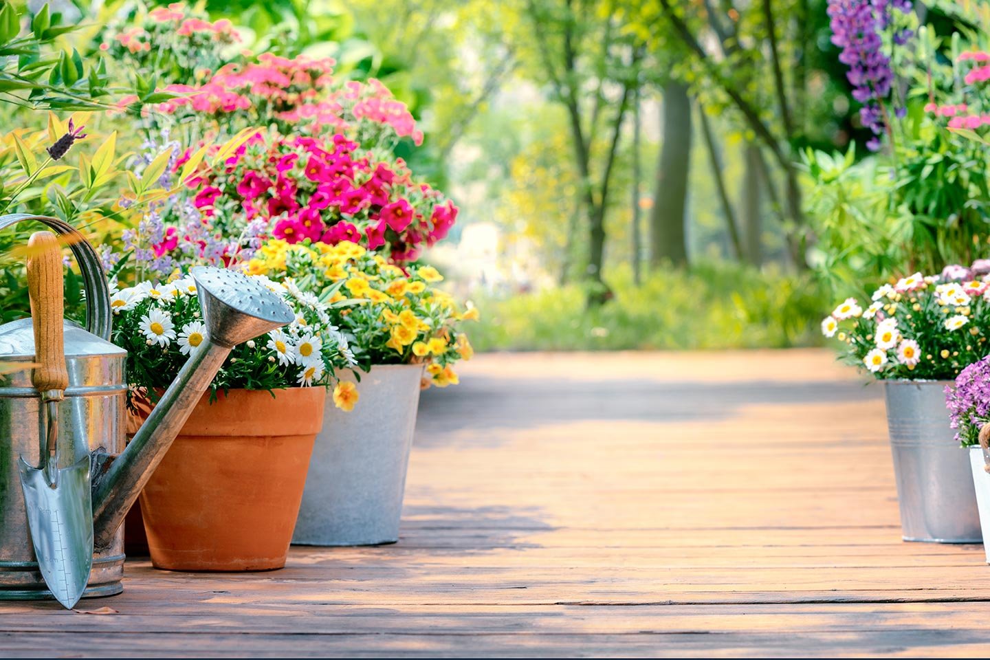 Blomster-bonanza!