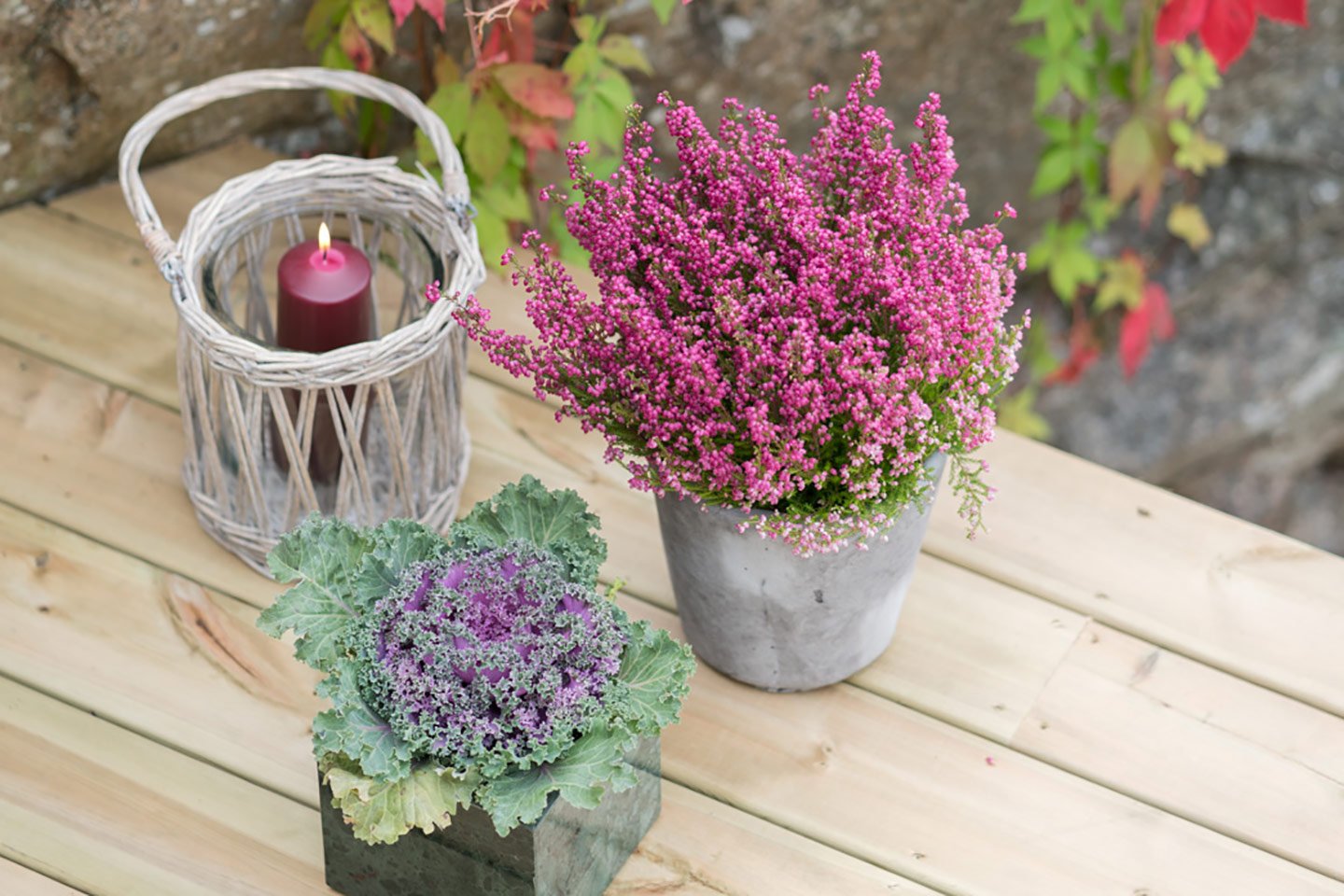 Råd for vedlikehold av terrassebord