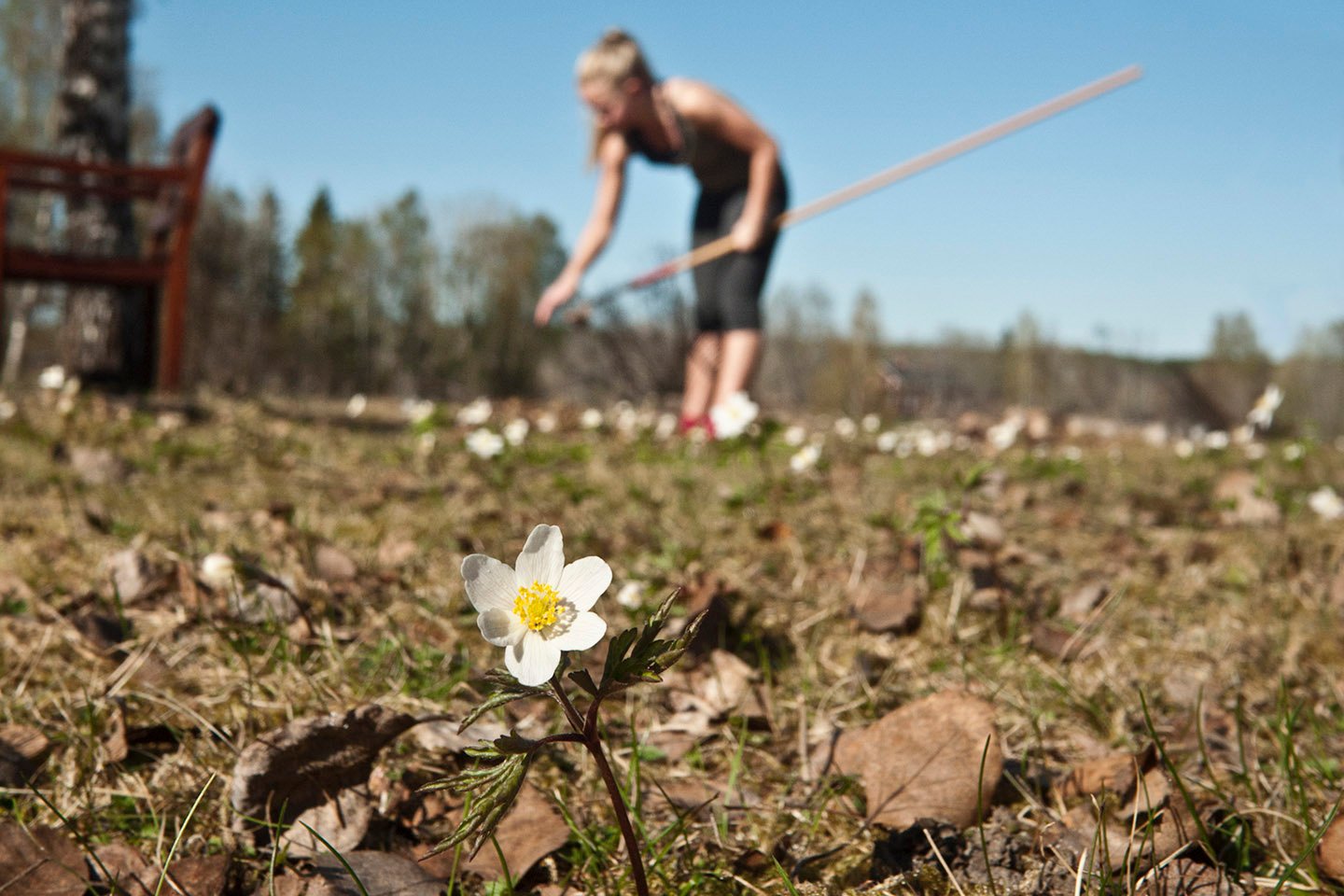 7 trinn til en vårklar hage