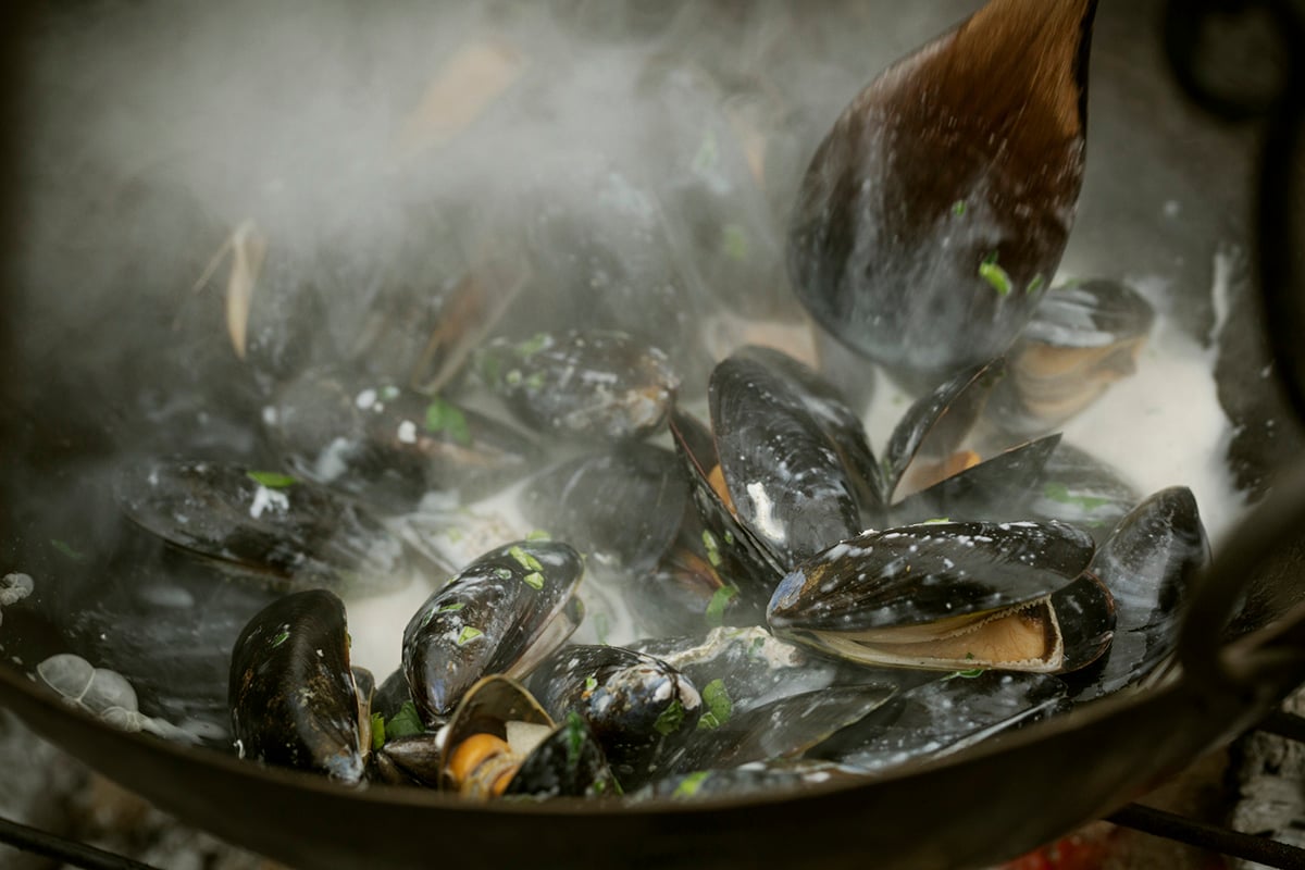 Weber blåskjell på grillen AB.jpg