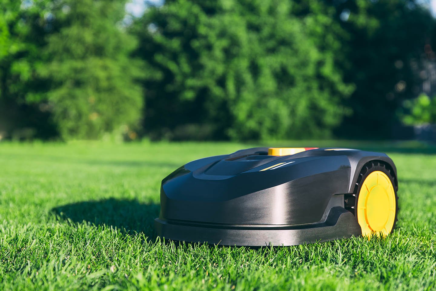 Gressklippere og robotklippere