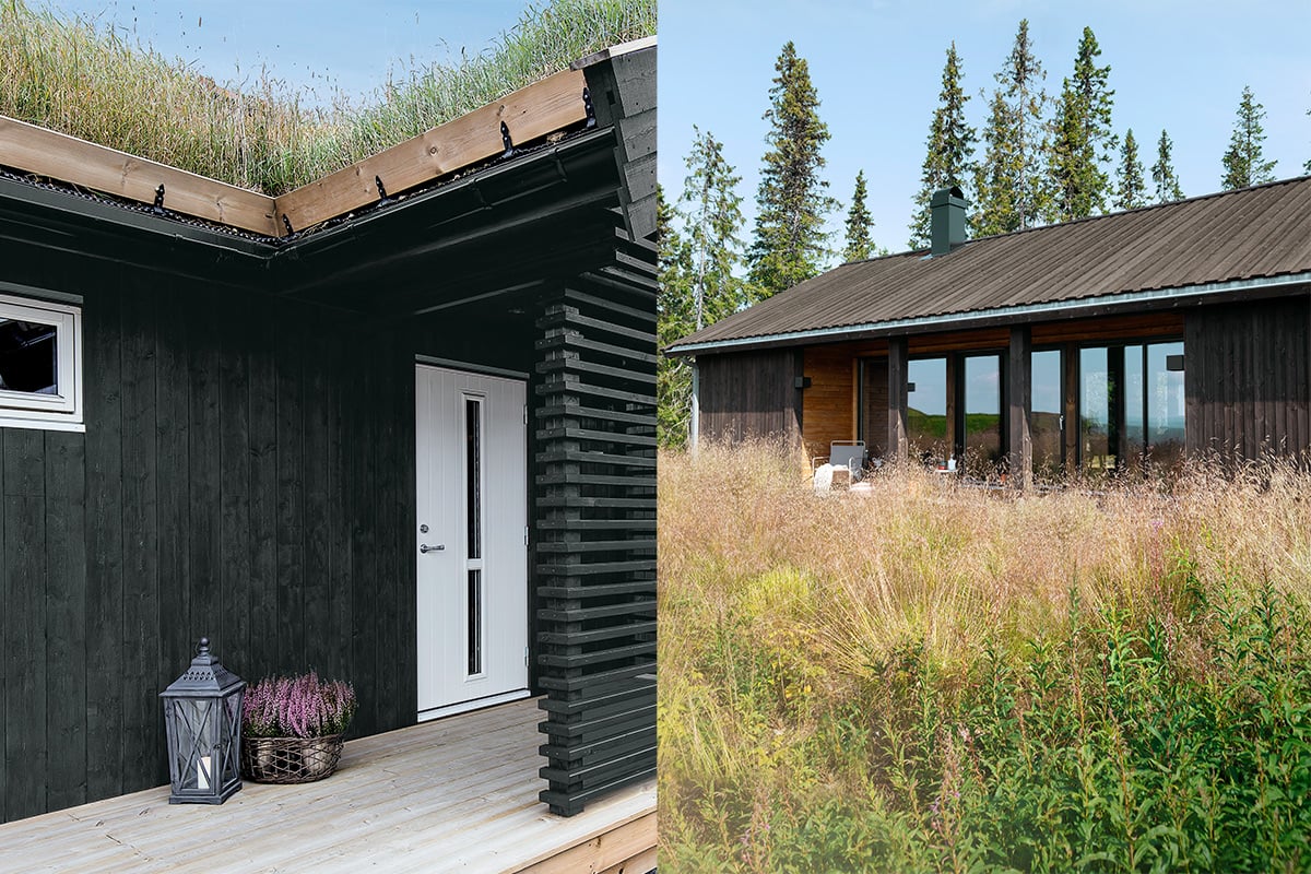 Mørkebrun og matt artikkelbilde.jpg