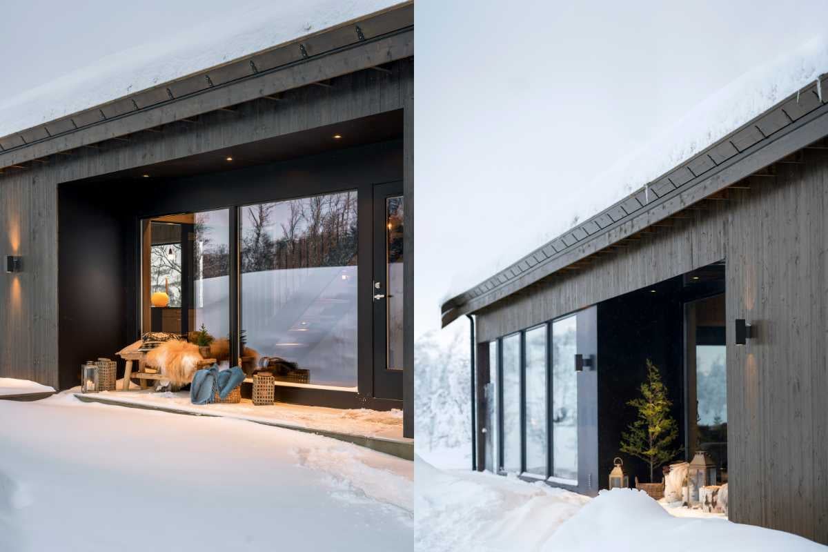 Tjærebeis sølvvier artikkelbilde.jpg