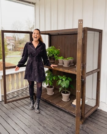 Planter i drivhus og dekorative potter.