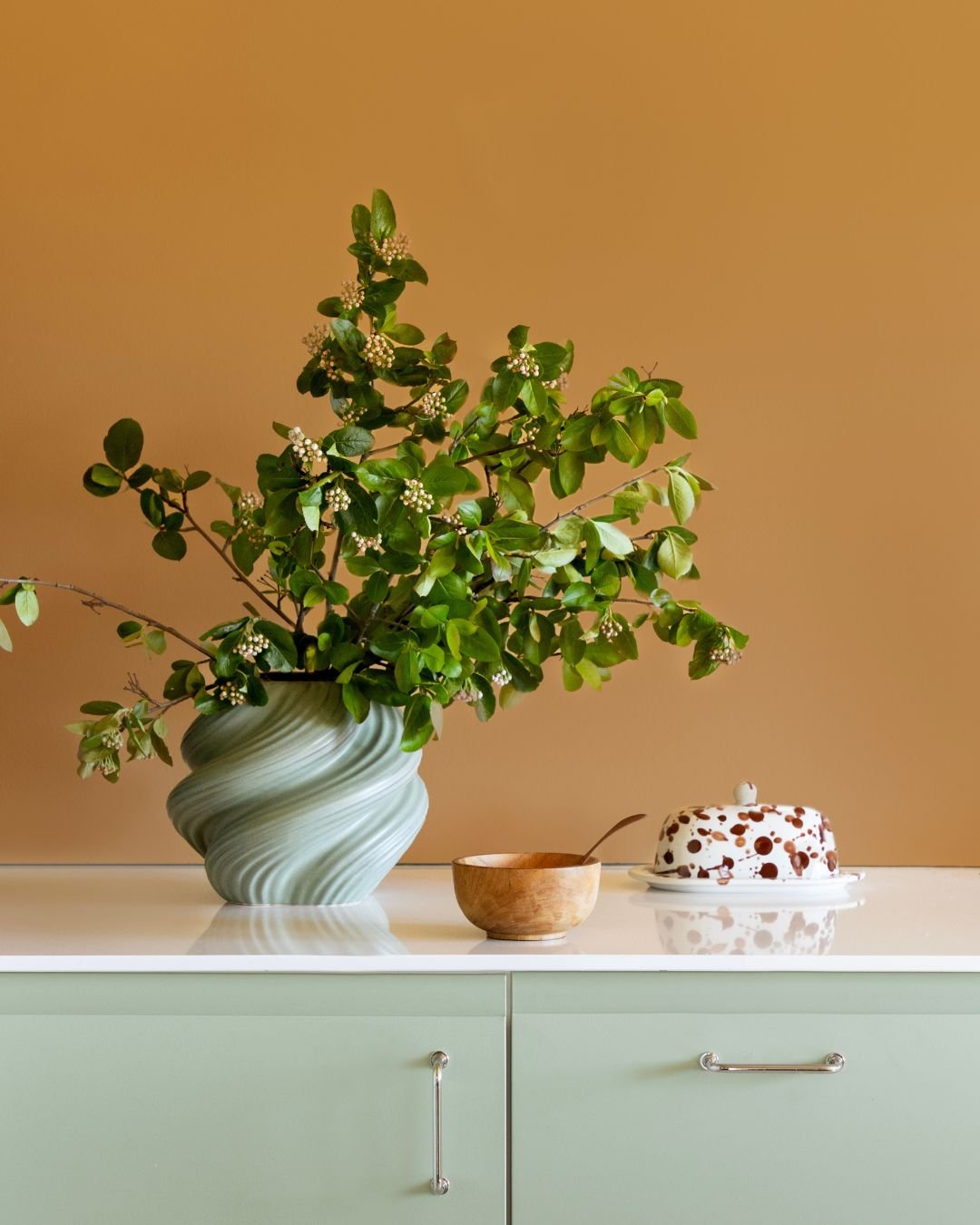 Hvit kjøkkenbenk med grønne skap, hvor det står en plante og skål, foran oransje vegg.
