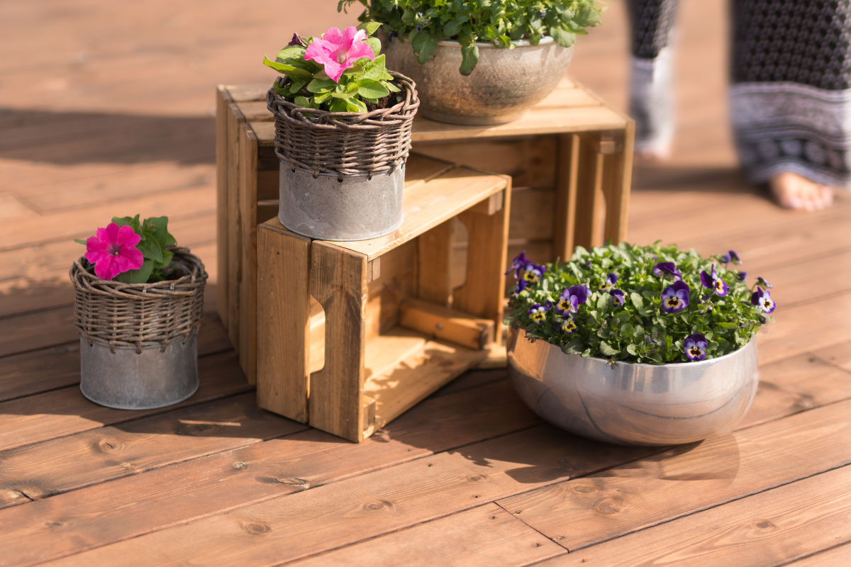 Tre blomsterpotter på treterrasse, to med rosa blomster og én med lilla, plassert på og ved en liten trekasse.