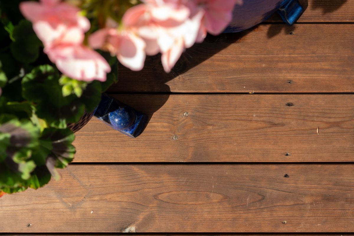 Blomster i en potte stående på en treterrasse, sett ovenfra.