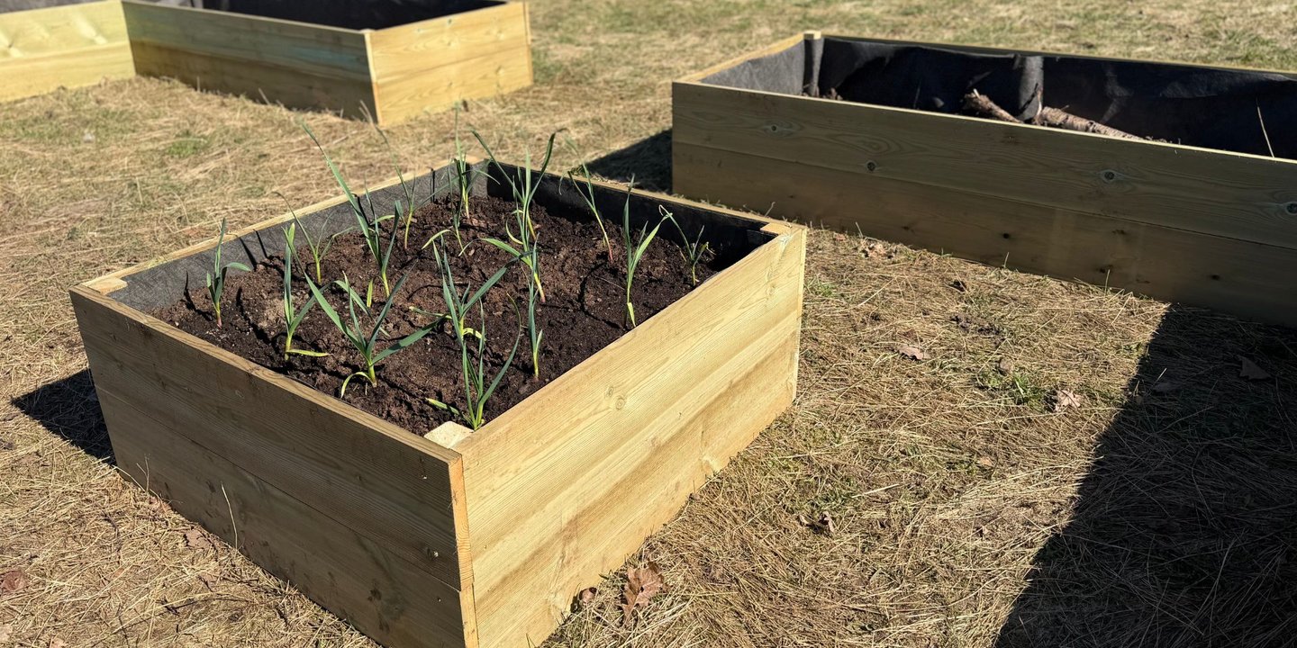 Nybygde pallekarmer står i sola, med grønne vekster