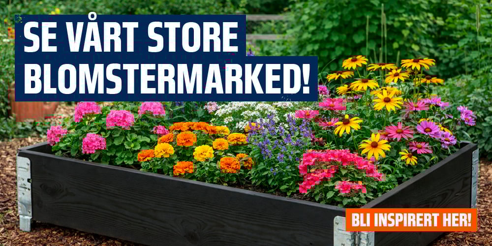 Se vårt store blomstermarked!