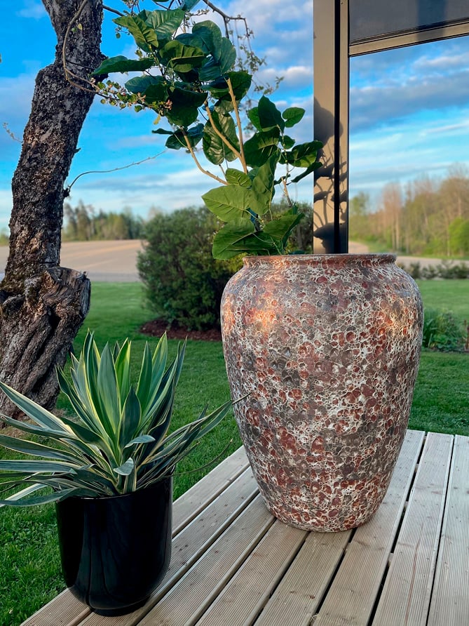 Grønne planter i blomsterpotte på an platting ute. 