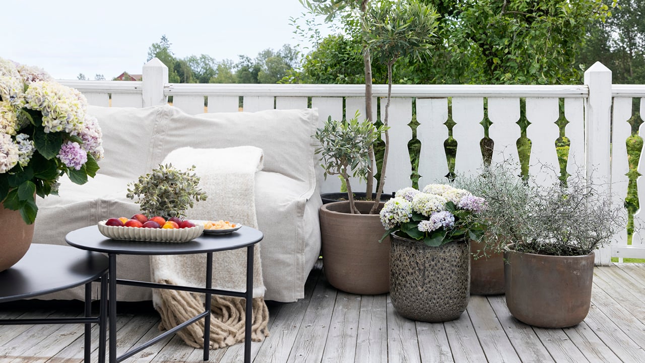 Forskjellige planter i ulike blomsterpotter på en terrasse med en utesofa ved siden av.