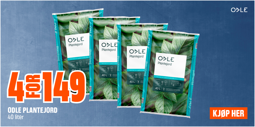 Odle plantejord