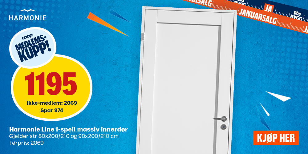 Harmonie Line 1-speil massiv innerdør