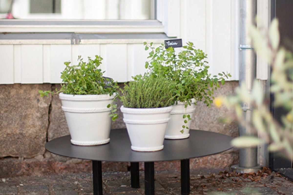 Quick Bengalack uterom_artikkelbilde4.jpg