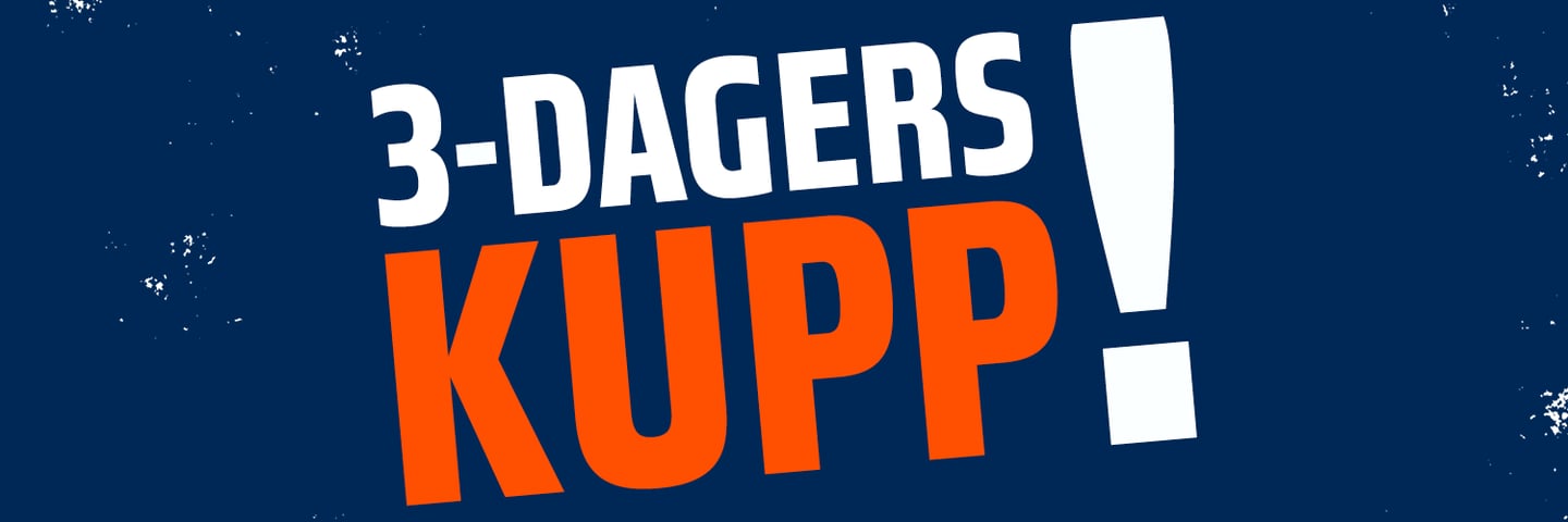 3-dagers kupp banner