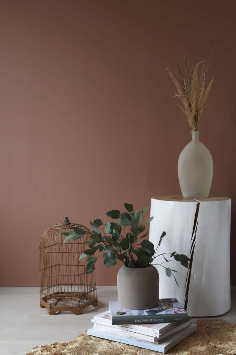 Walls2Paint sponplate 2-pk