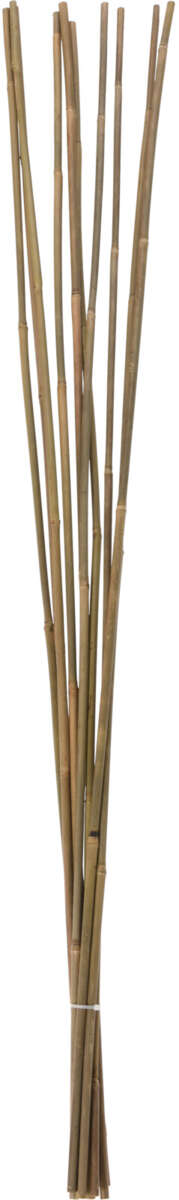 Odle bambus blomsterpinner 10-pk