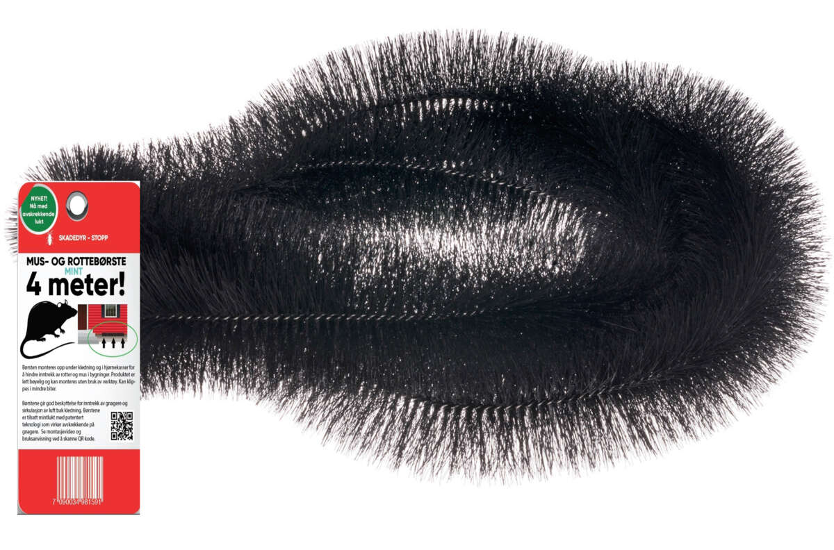 Mus-og rottebørste