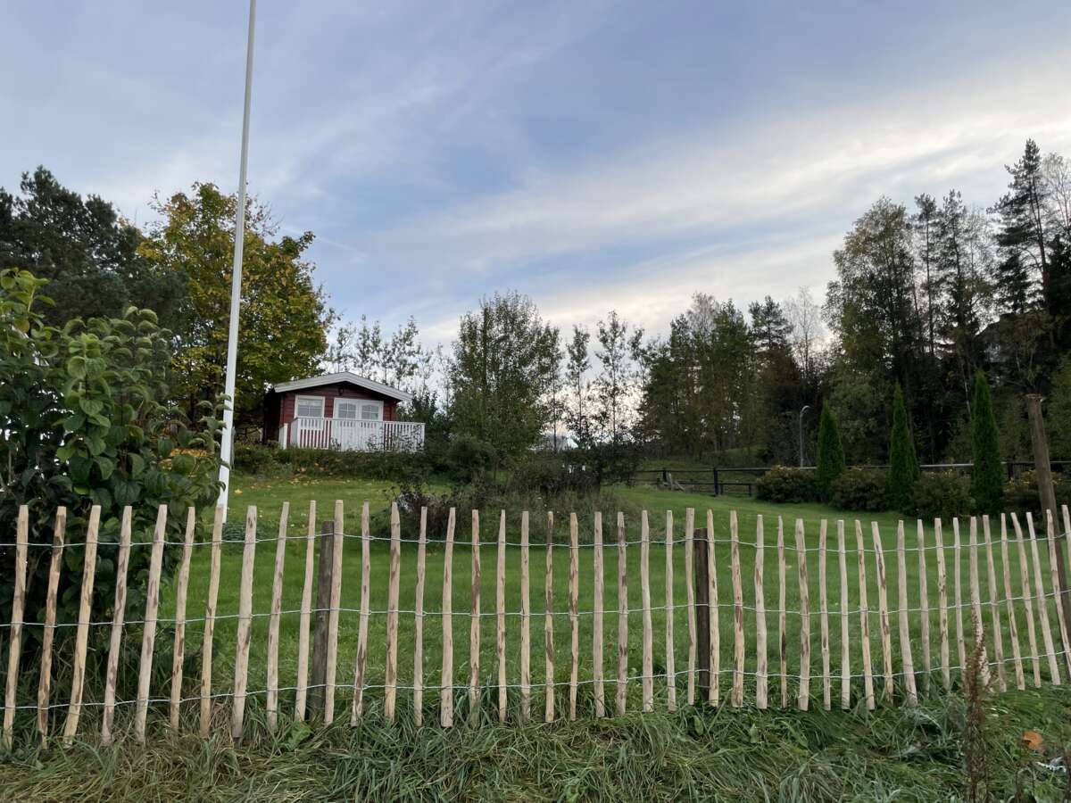 Palmako Stakitt i hasseltre 80 cm, 5 meter