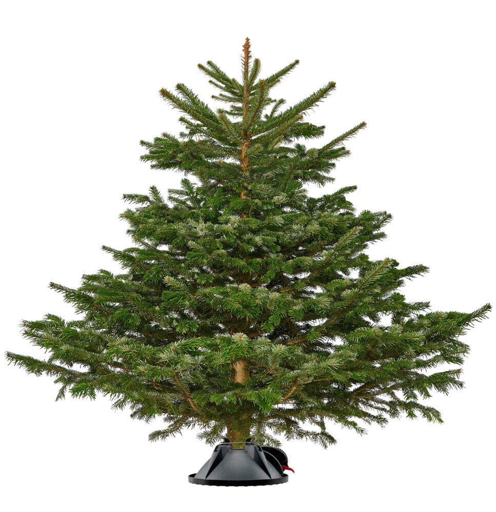 Krinner juletrefot Klick Fix