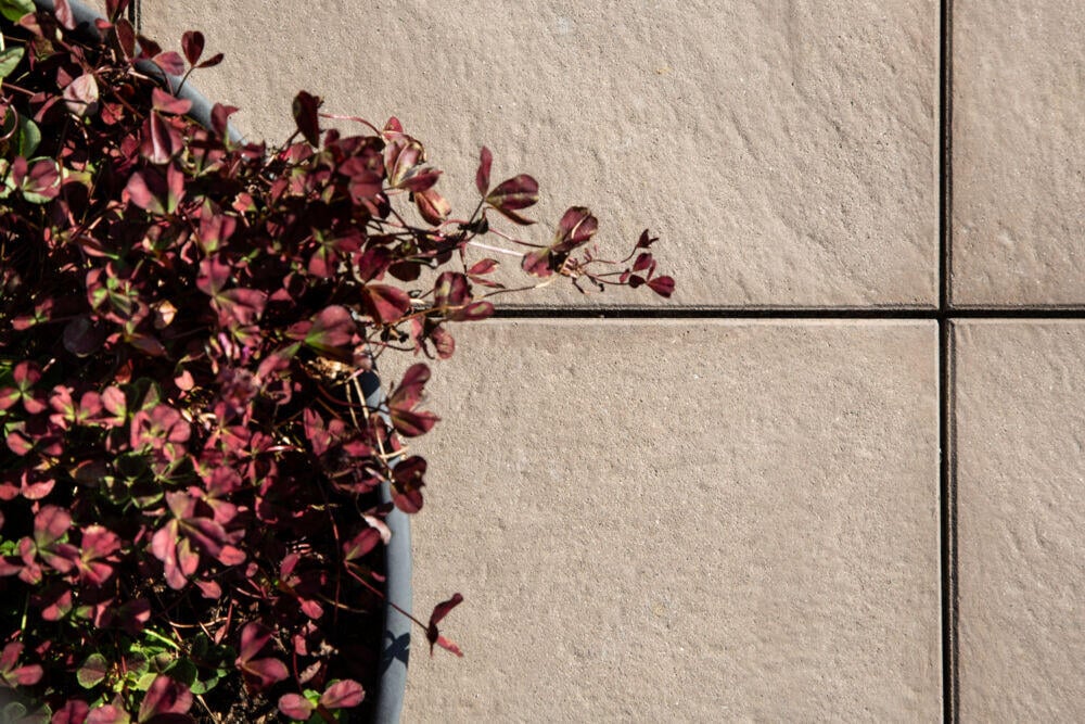 Asak Nougat AC hagehellene