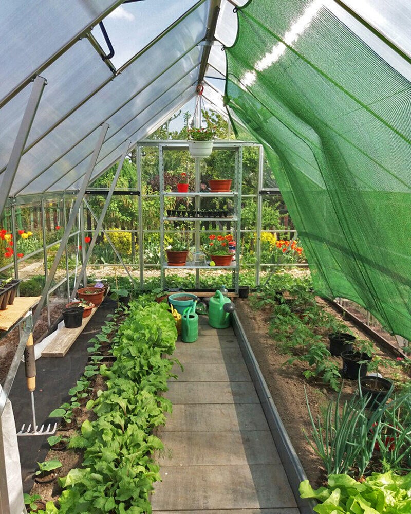 Palram - Canopia Balance drivhus 8,9 m²