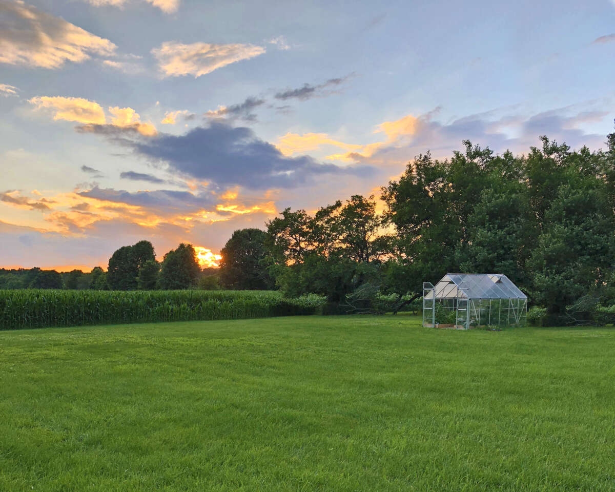 Palram - Canopia Balance drivhus 8,9 m²