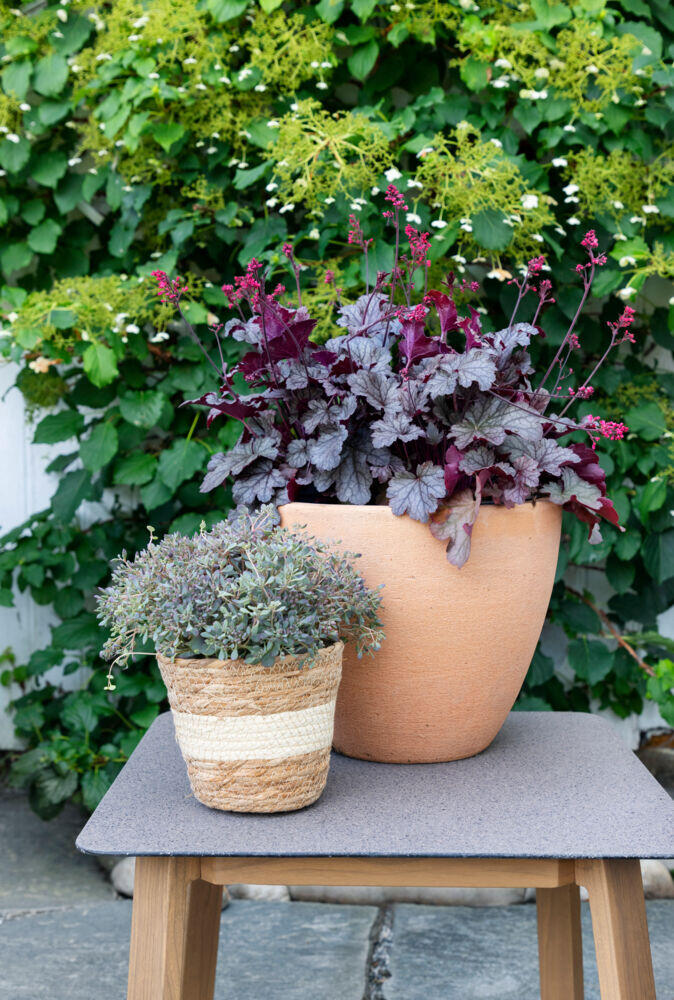 Bohem Holmen recliner terrassesett