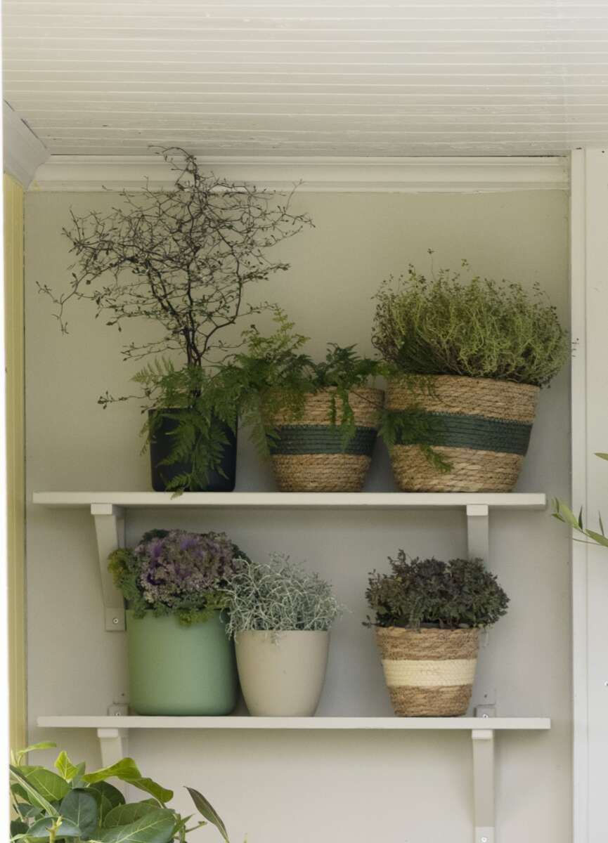 Hvaler flettet potte