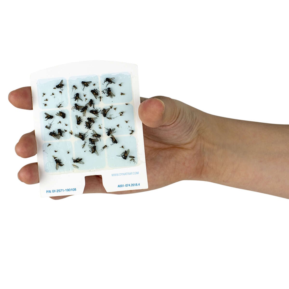 Dynatrap refill til fluefelle 6pk