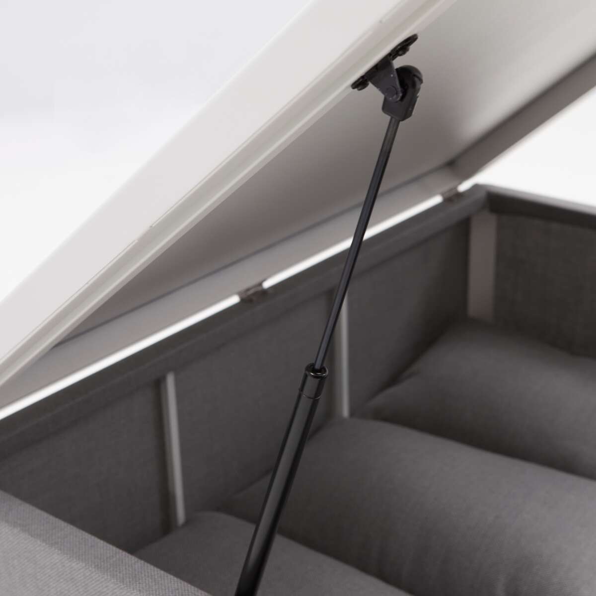 Naterial Neptune modul bord