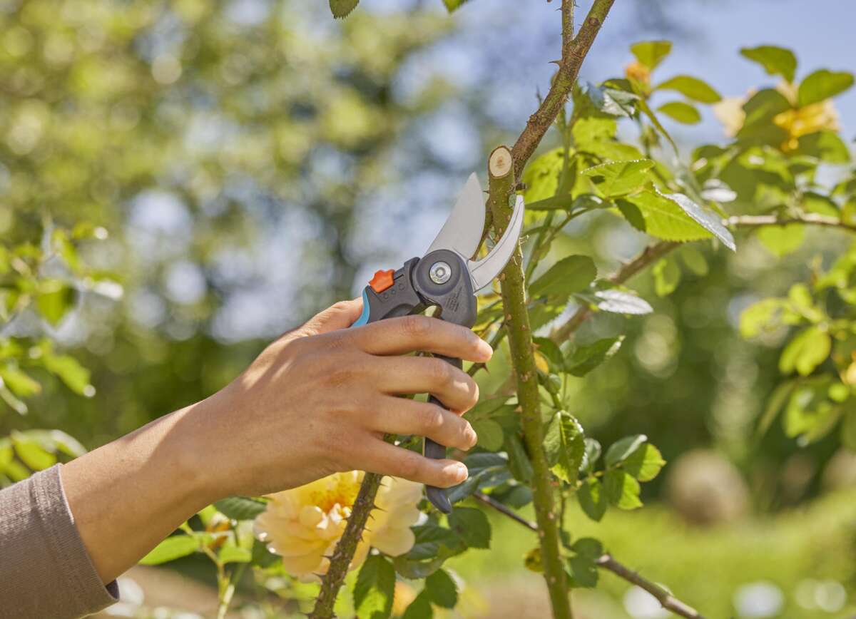 GARDENA PremiumCut Flex beskjæringssaks