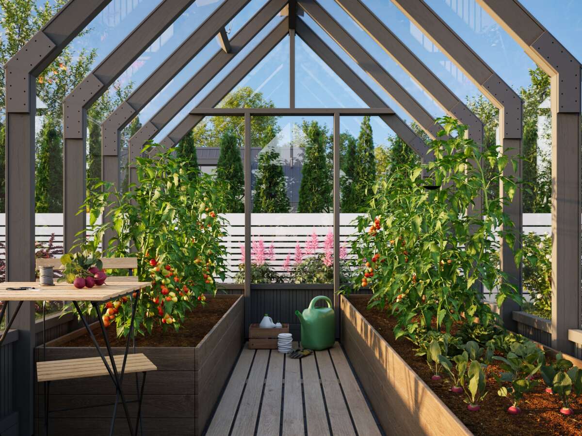 Palmako Emilia veksthus 8,2 m² gråmalt