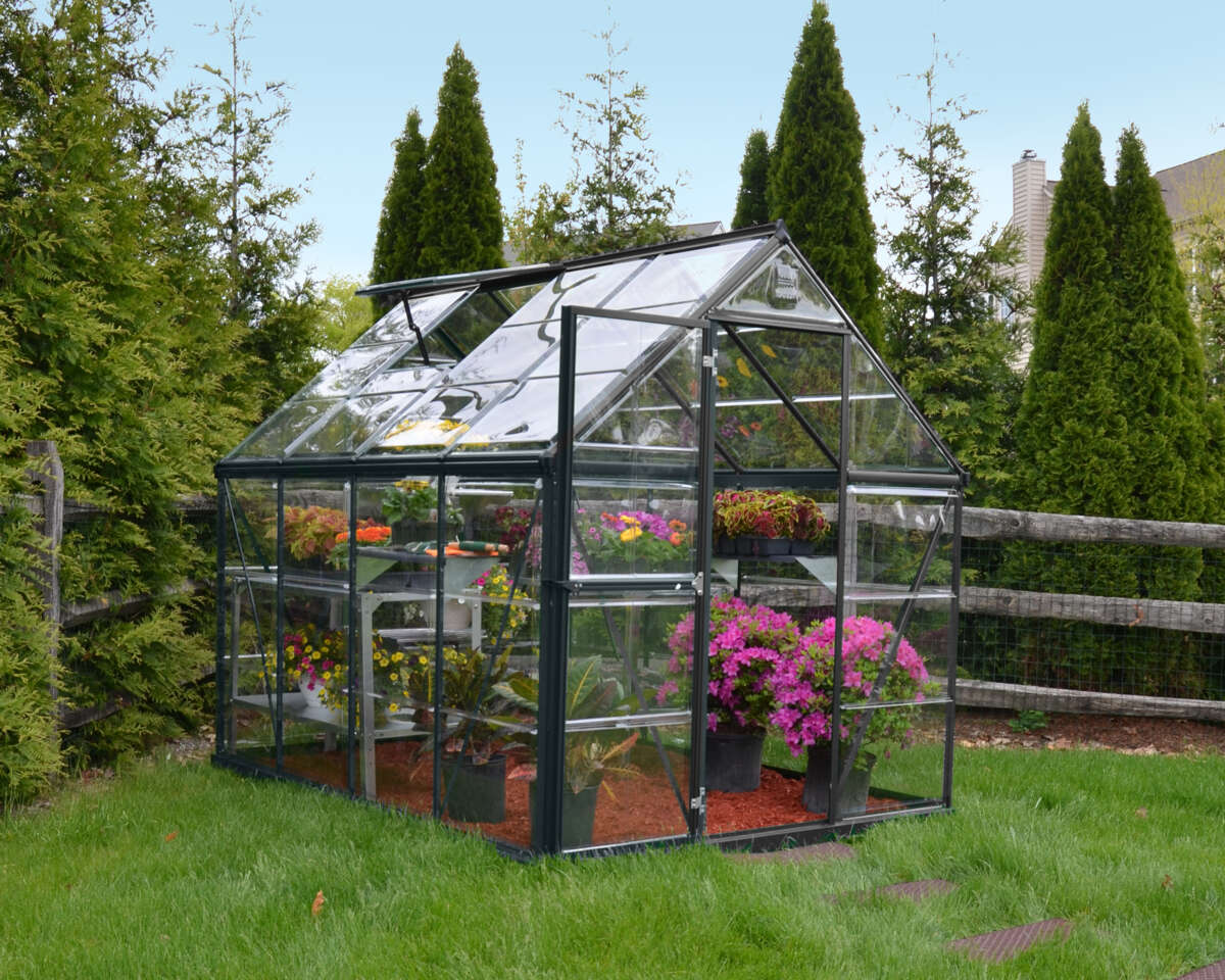 Palram - Canopia Harmony sølv drivhus 4,6 m²