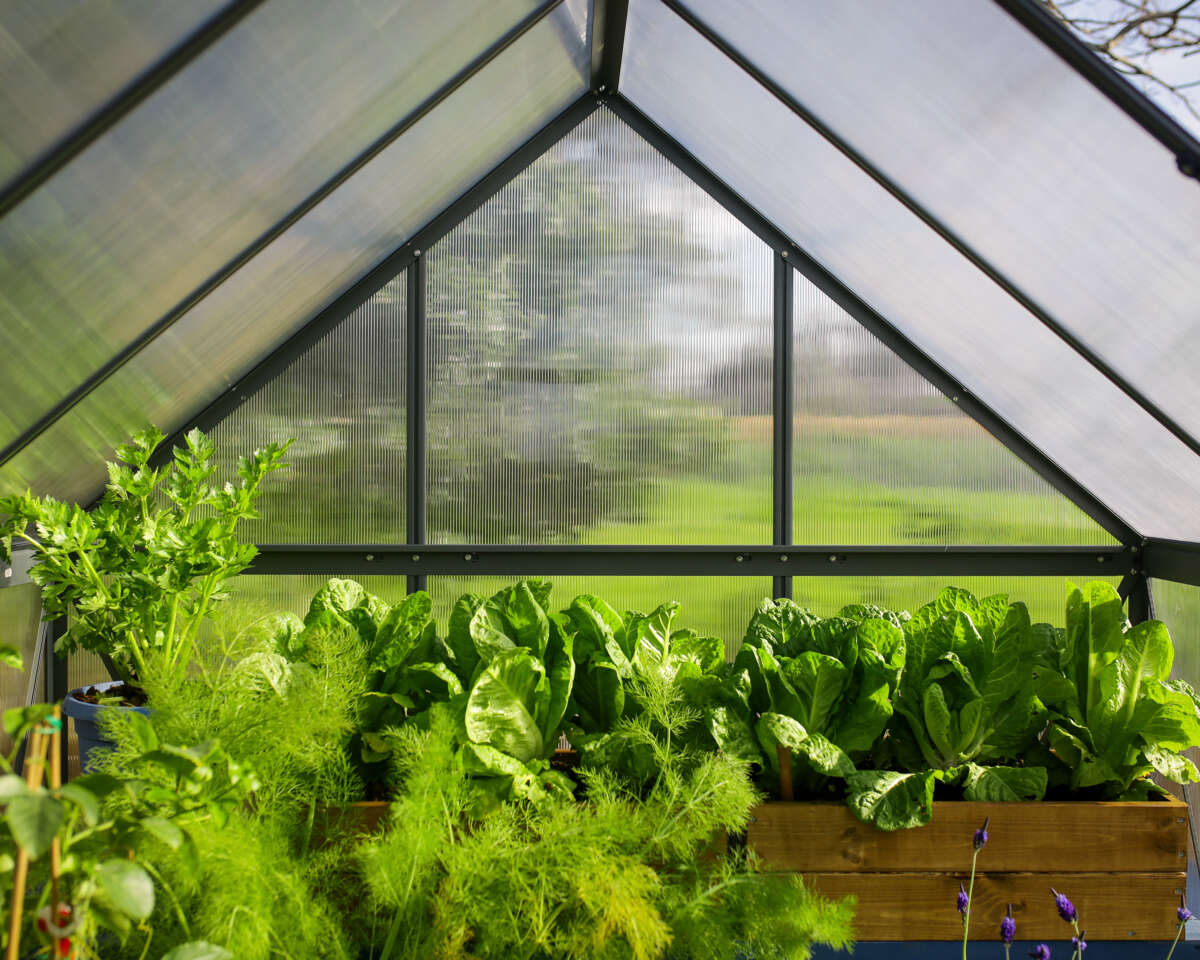 Palram - Canopia Mythos grå drivhus 4,6 m²