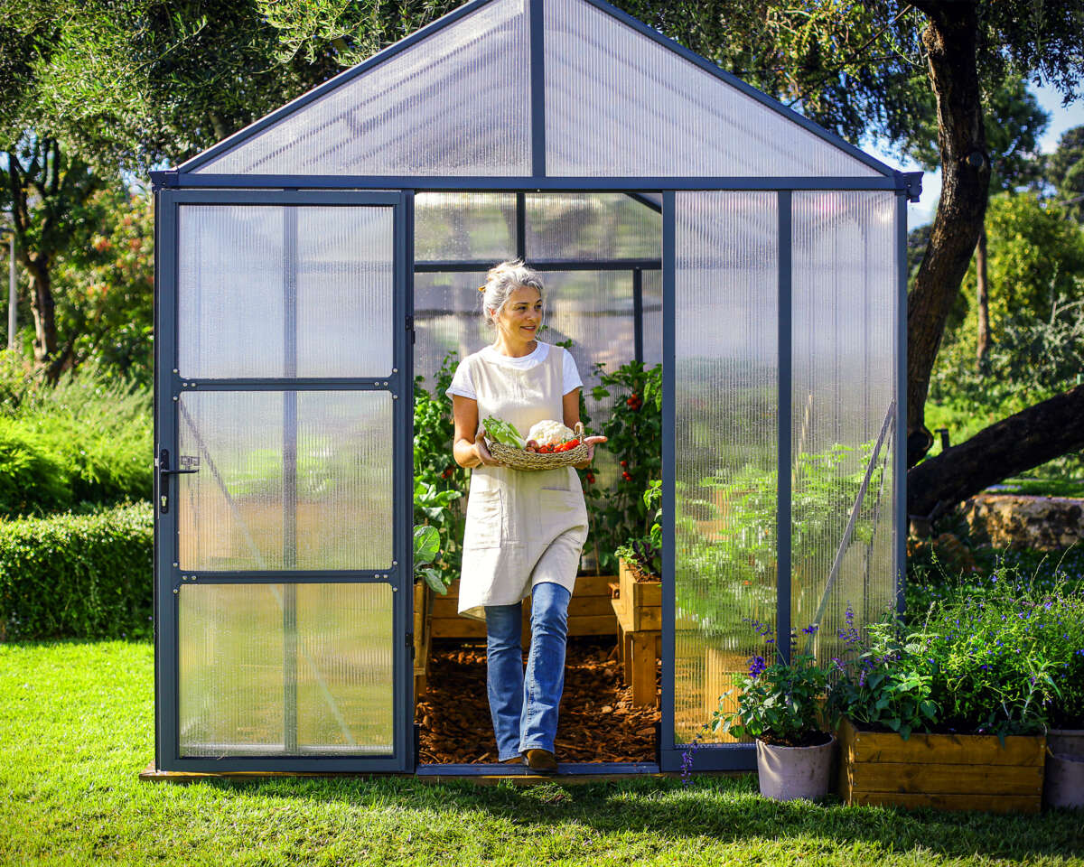 Palram - Canopia Glory Premium drivhus 15,2 m²