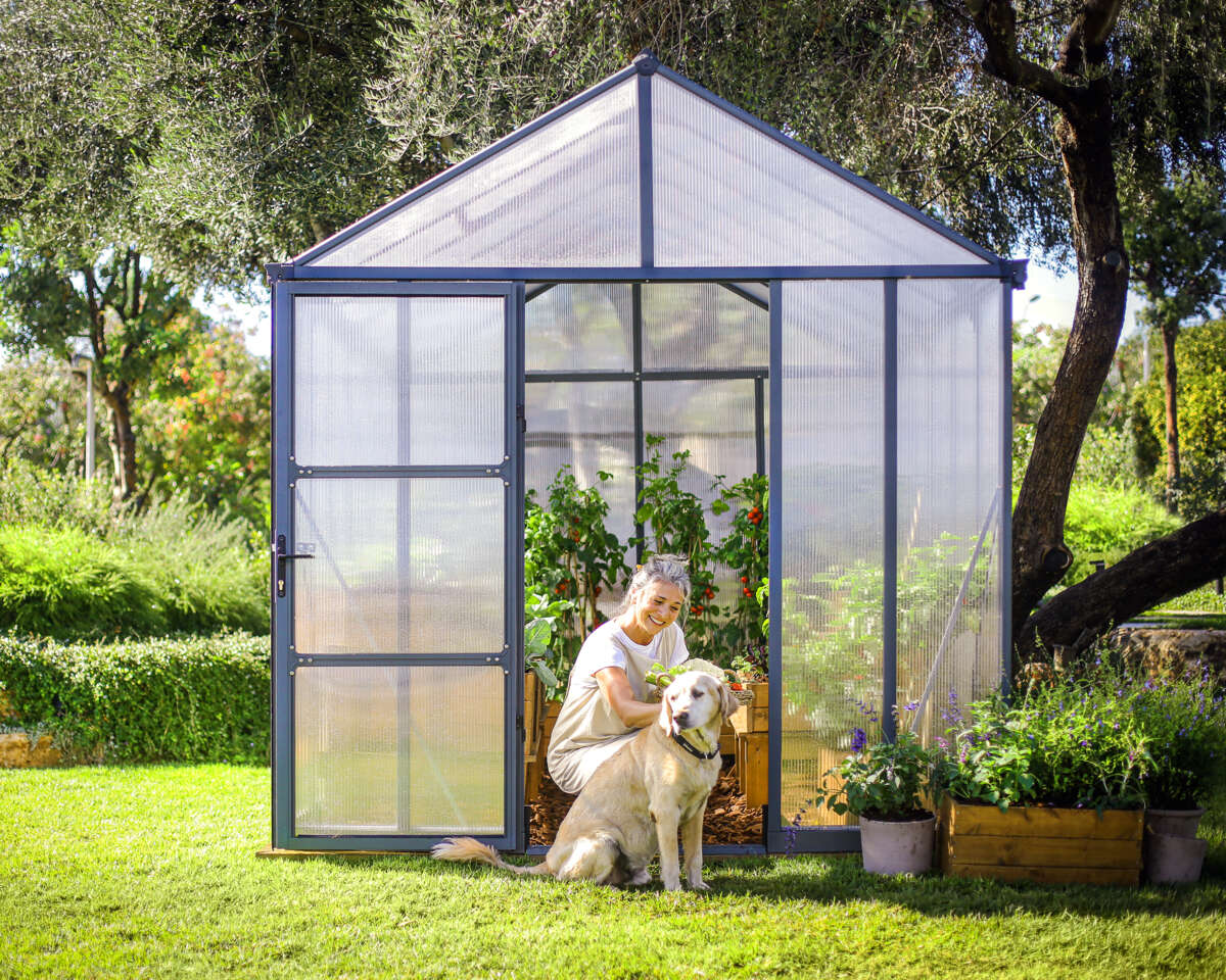 Palram - Canopia Glory Premium drivhus 9,2 m²