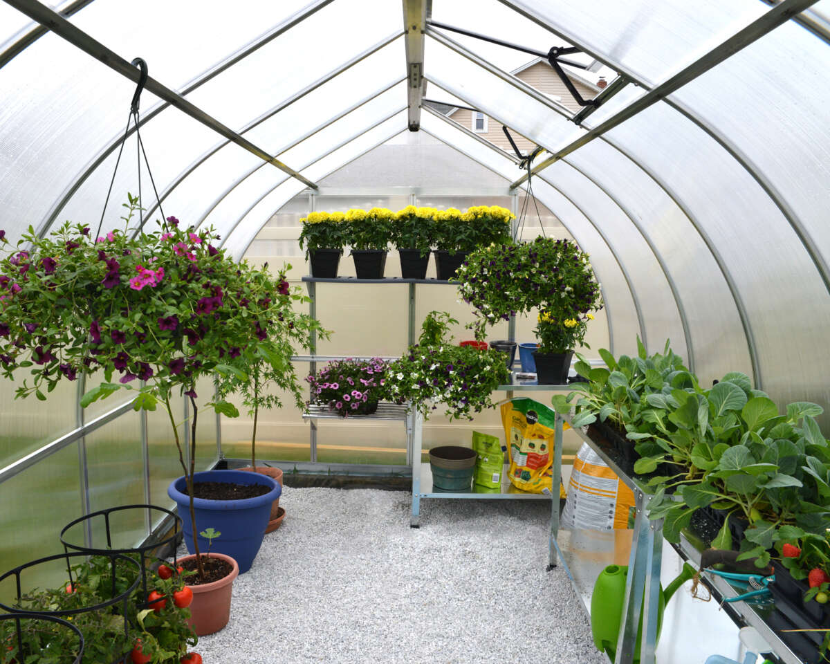 Palram - Canopia Bella drivhus 8,8 m²