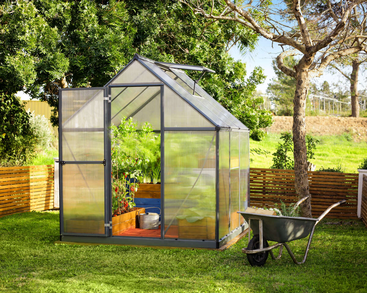 Palram - Canopia Mythos grå drivhus 3,4 m²