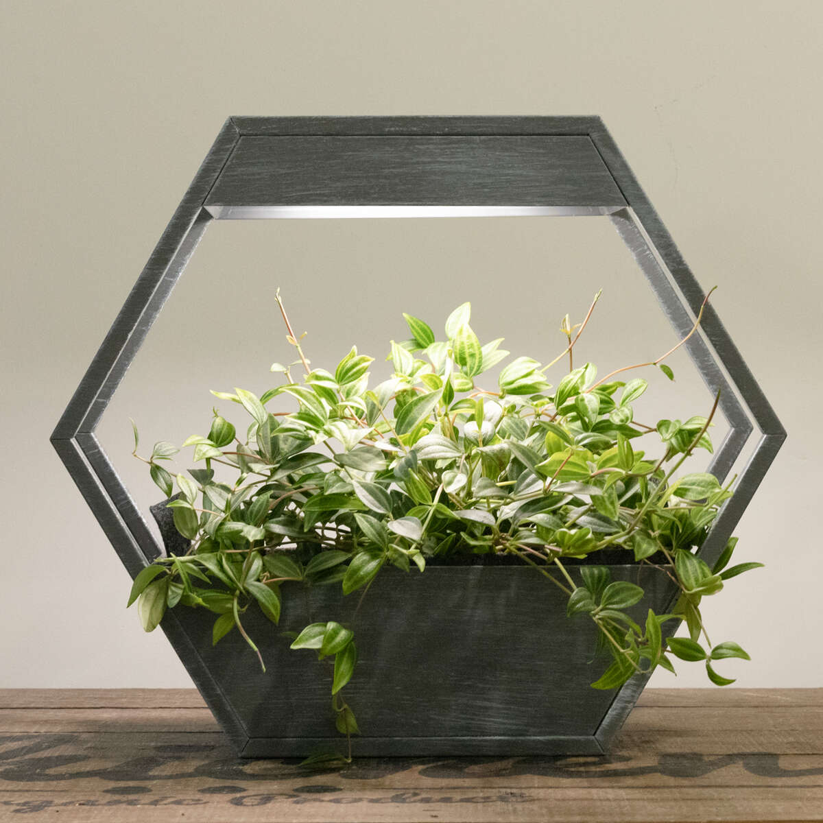 Plantekasse med LED lys