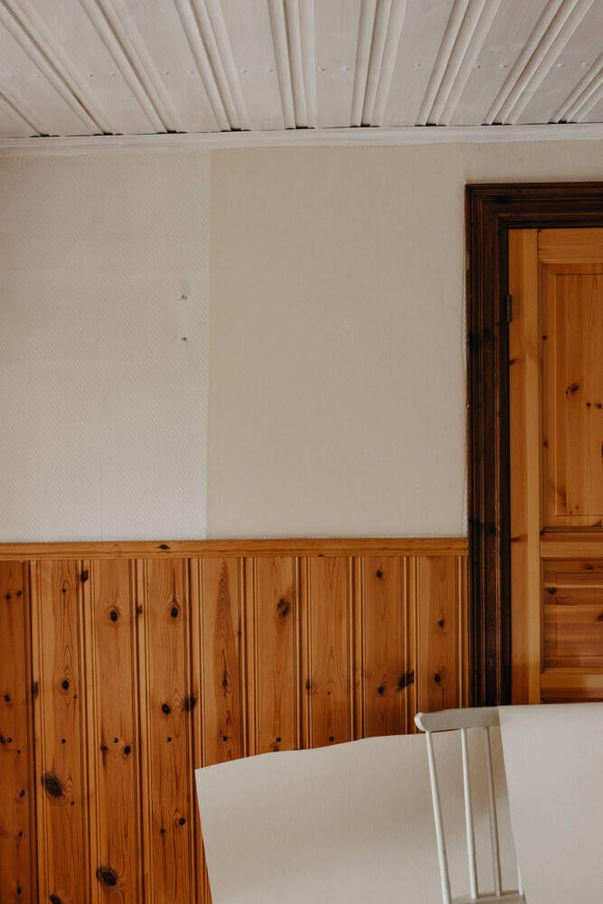 Renovotex Pro veggfornyer