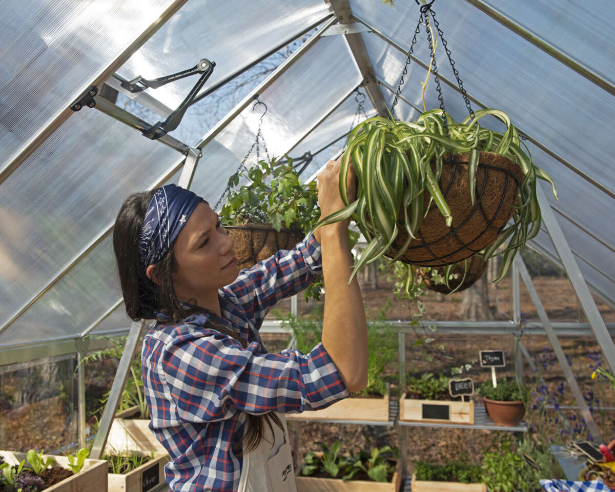 Palram - Canopia Balance drivhus 11,8 m²