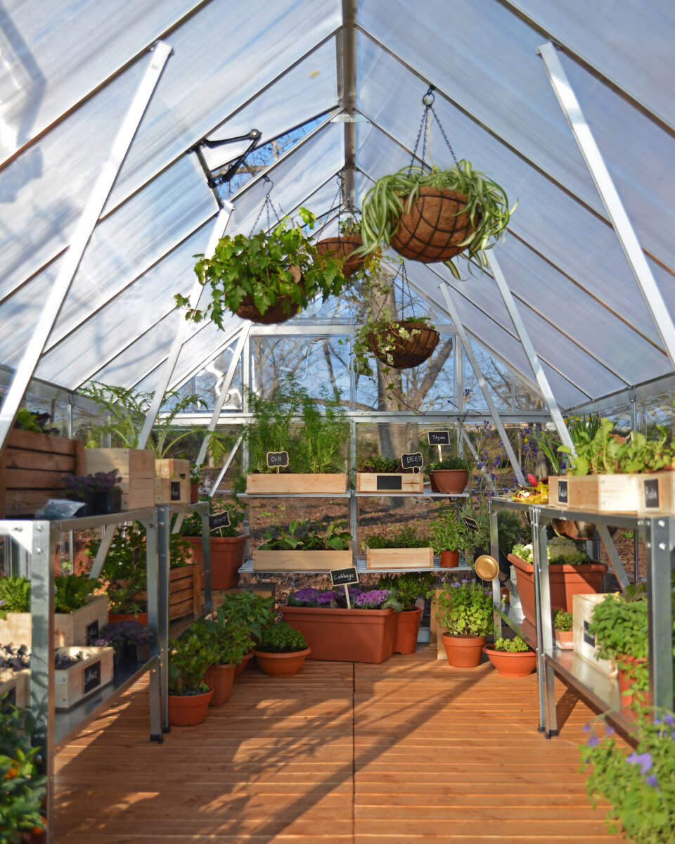 Palram - Canopia Balance drivhus 11,8 m²