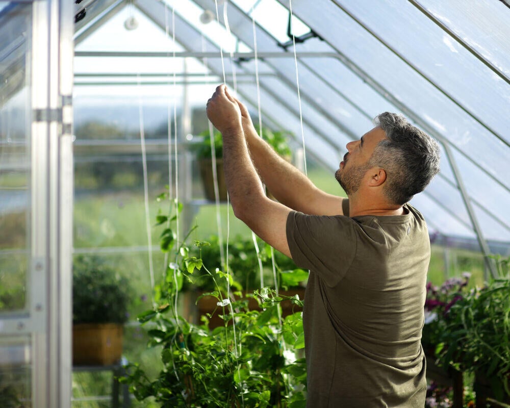 Palram Canopia Balance drivhus 10,8 m²