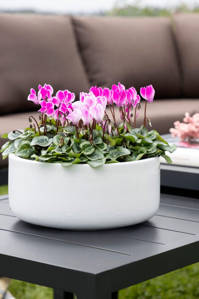 Røst hjørnegruppe sort og brune vanntette putetrekk