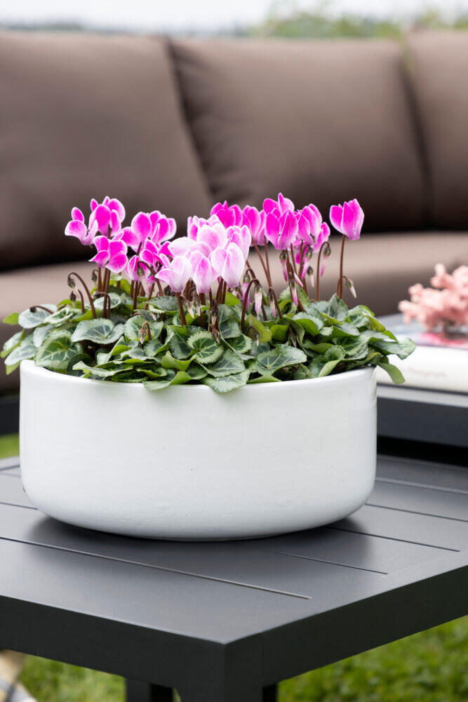 Røst sofagruppe sort og brune vanntette putetrekk