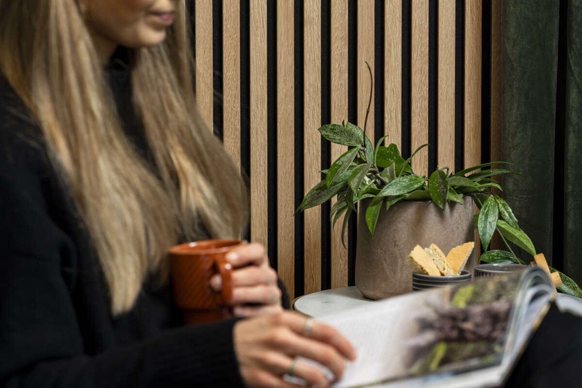 Whisper lys eik akustikk spileplate 2-pk