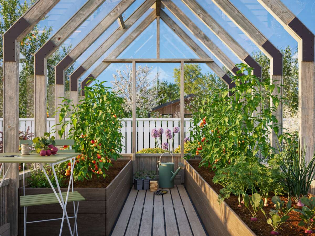 Palmako Emilia veksthus/hagestue 8,2 m²