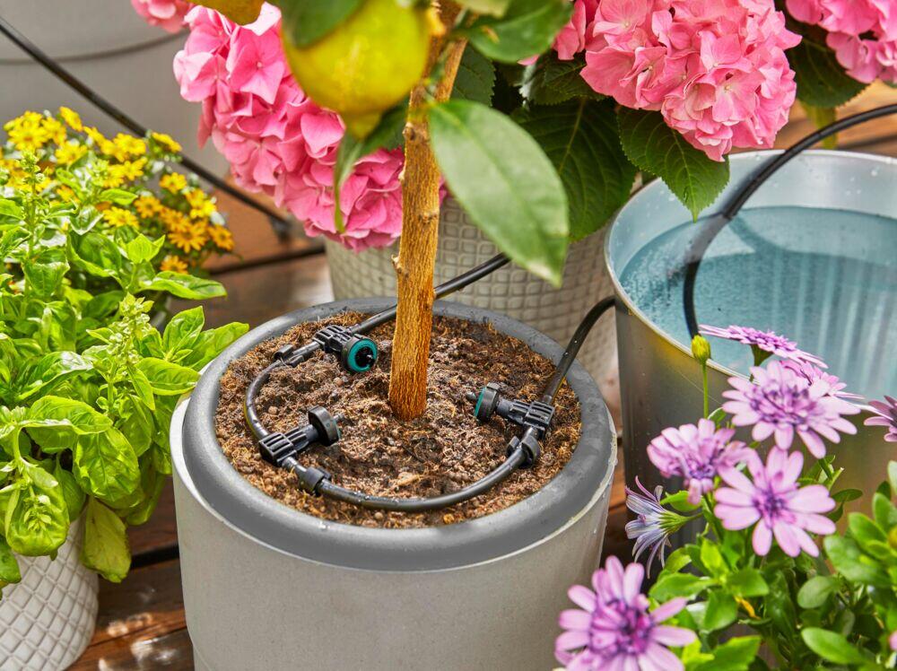 Gardena Aquabloom vanningssett