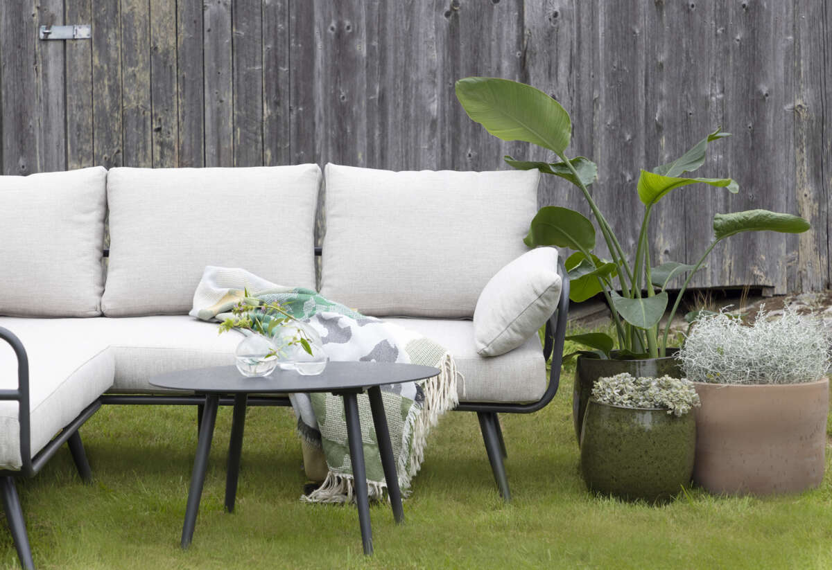 Odle Royal Pisa potte